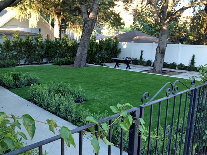 Artificial Turf Cost Cotulla, Texas Lawn And Garden, Front Yard Design