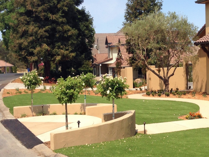 Artificial Turf Cost Fayetteville, Texas Rooftop, Small Front Yard Landscaping