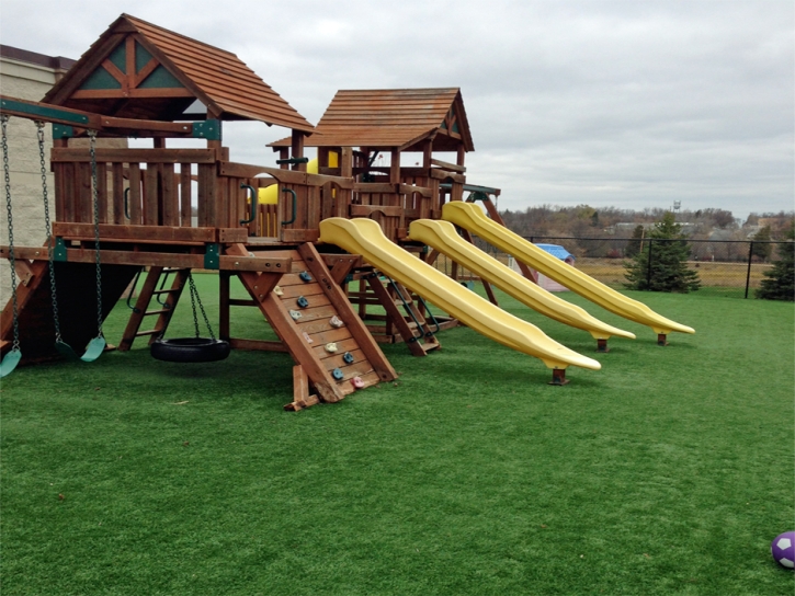 Artificial Turf Cost Grey Forest, Texas Rooftop, Commercial Landscape