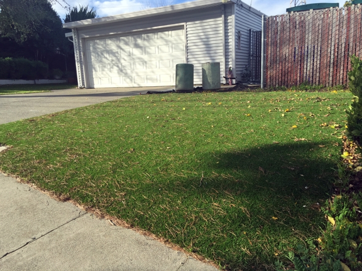 Artificial Turf Cost Inez, Texas Backyard Deck Ideas, Front Yard Design