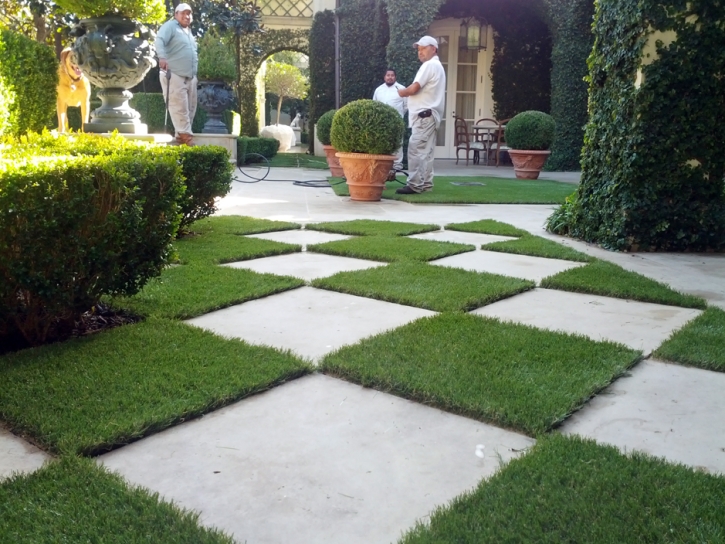 Artificial Turf Cost Uhland, Texas Landscaping Business, Pavers