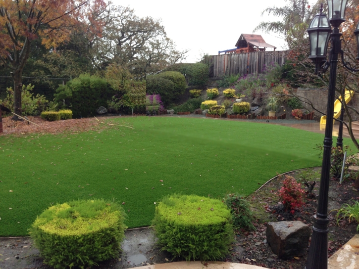 Artificial Turf Cost Universal City, Texas Lawn And Landscape, Backyard Makeover