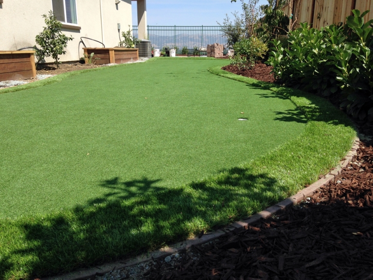 Artificial Turf Horseshoe Bay, Texas Landscape Rock, Small Backyard Ideas