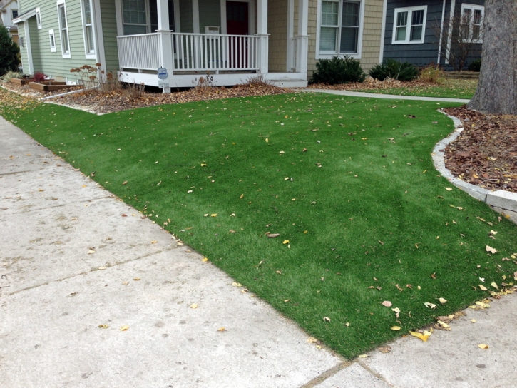 Artificial Turf Installation Alamo Heights, Texas Landscape Design, Front Yard Landscape Ideas