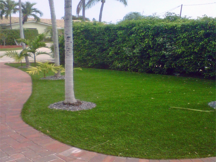 Artificial Turf Installation Catarina, Texas Rooftop, Landscaping Ideas For Front Yard