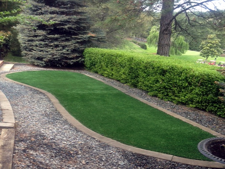 Artificial Turf Installation Charlotte, Texas Design Ideas