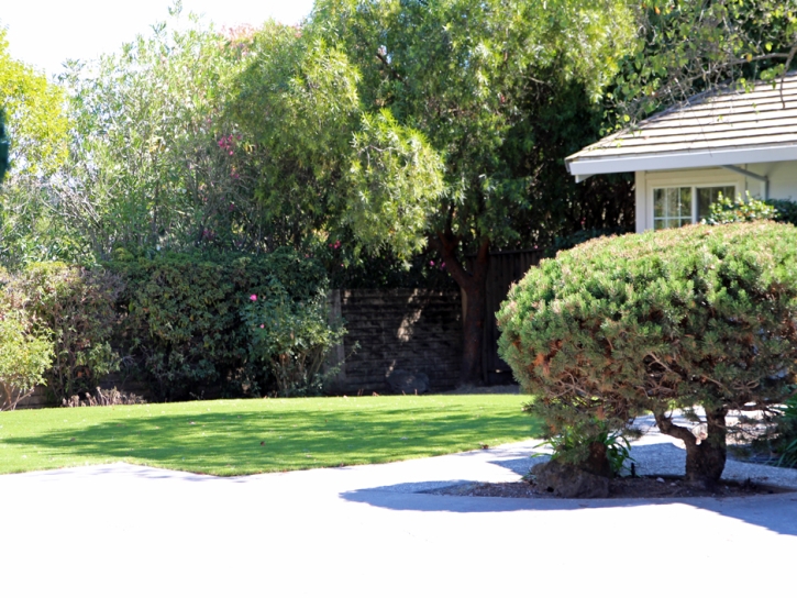 Artificial Turf Installation San Leanna, Texas Rooftop, Front Yard Ideas