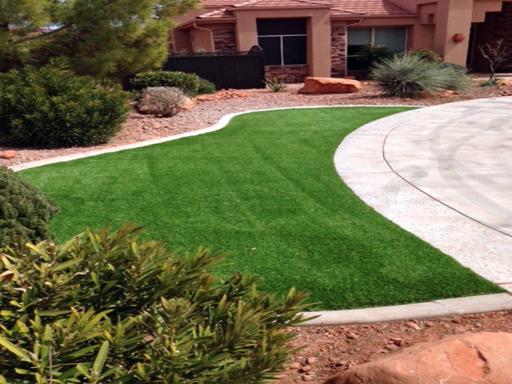 Artificial Turf Lake City, Texas Roof Top, Front Yard