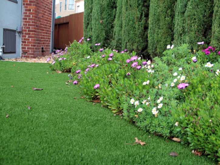 Artificial Turf Loma Grande Colonia, Texas Landscaping, Front Yard Landscaping Ideas