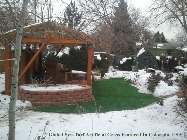 Artificial Turf Selma, Texas Home And Garden, Backyard Designs