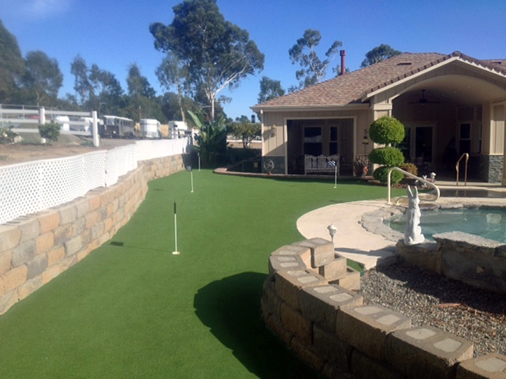 Artificial Turf Staples, Texas Putting Green Turf, Backyard Landscaping Ideas