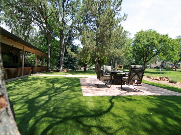 Artificial Turf Wimberley, Texas Landscaping Business, Backyard