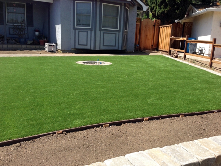 Best Artificial Grass Crystal City, Texas Landscaping Business, Front Yard Landscaping Ideas