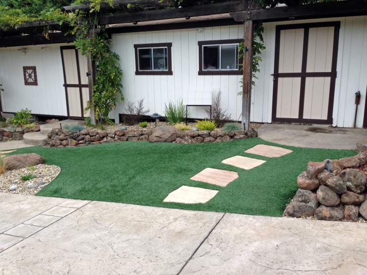 Best Artificial Grass Early, Texas Landscaping, Small Front Yard Landscaping