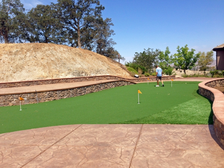 Best Artificial Grass Rosita South, Texas Rooftop, Backyard Makeover