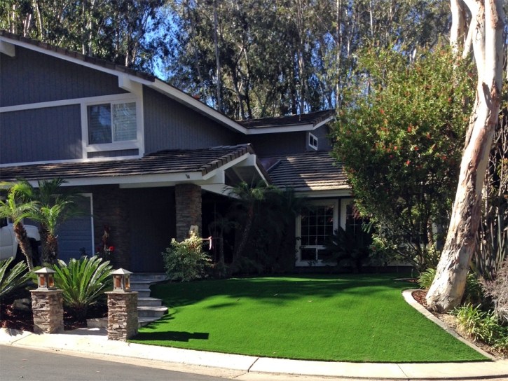 Best Artificial Grass Round Rock, Texas Lawns, Small Front Yard Landscaping