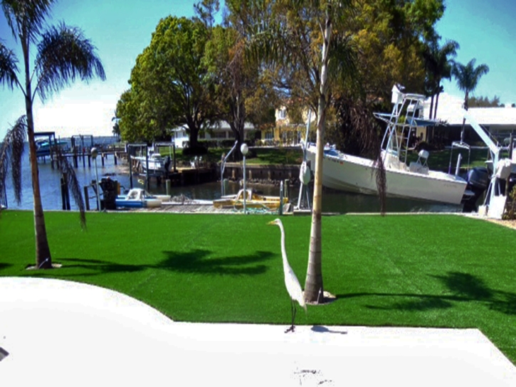 Best Artificial Grass Somerset, Texas Landscape Photos, Beautiful Backyards