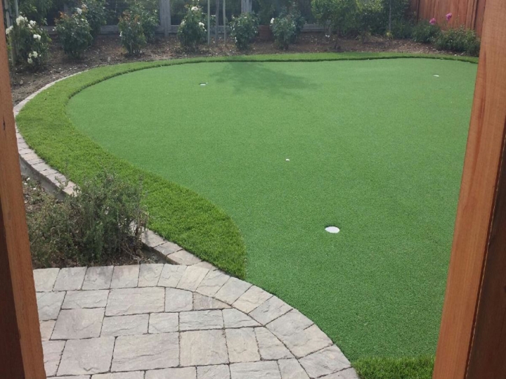 Fake Grass Bulverde, Texas Backyard Putting Green, Backyard Landscaping