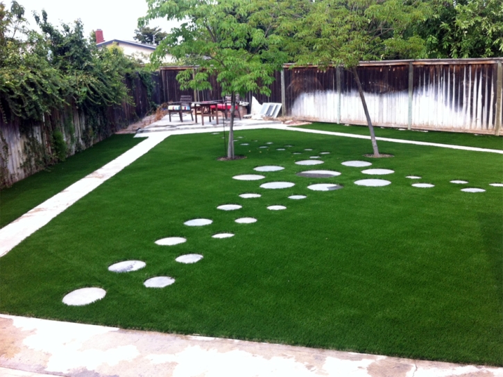 Fake Grass Carpet Bee Cave, Texas Garden Ideas, Backyard Designs