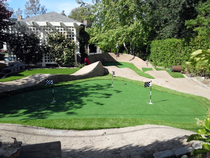 Fake Grass Carpet Bruceville-Eddy, Texas Indoor Putting Greens, Backyard