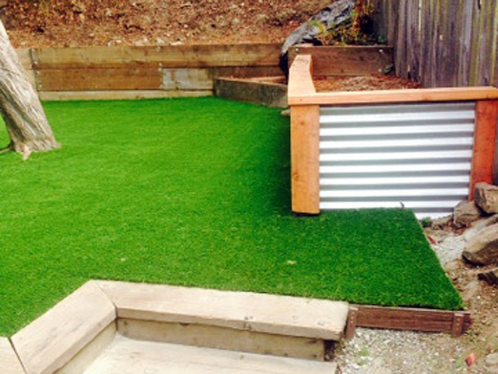 Fake Grass Carpet Caldwell, Texas Roof Top, Backyard Landscaping Ideas