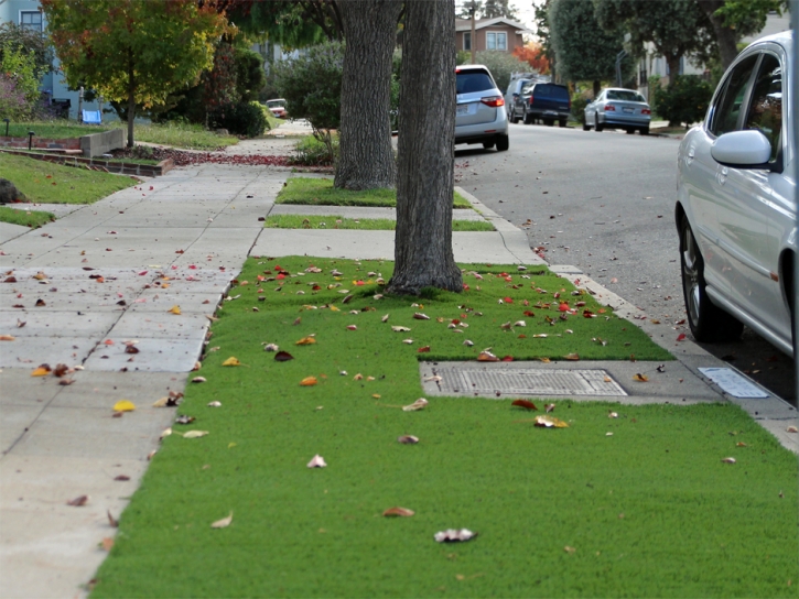 Fake Grass Carpet Cuero, Texas Landscape Design, Front Yard Landscape Ideas