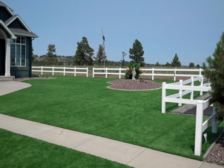 Fake Grass Carpet Industry, Texas Garden Ideas, Front Yard Landscape Ideas