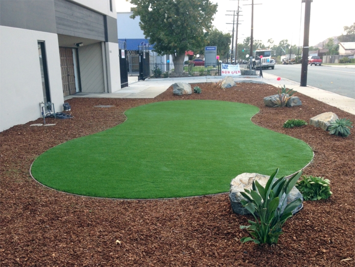 Fake Grass Carpet Pawnee, Texas Garden Ideas, Commercial Landscape