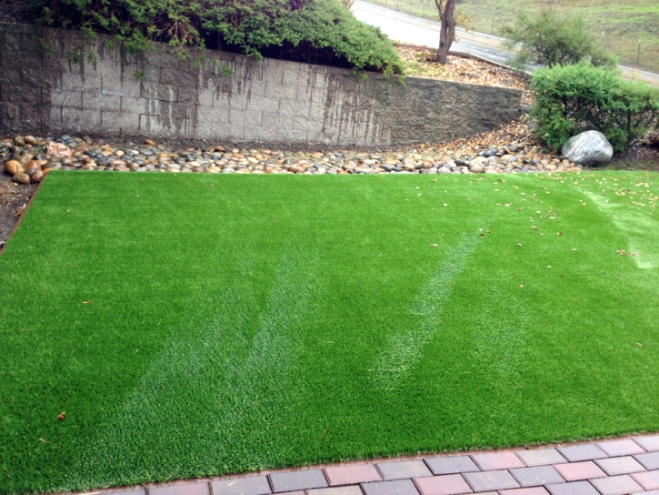 Fake Grass Carpet Shavano Park, Texas Dog Pound, Backyard Landscape Ideas