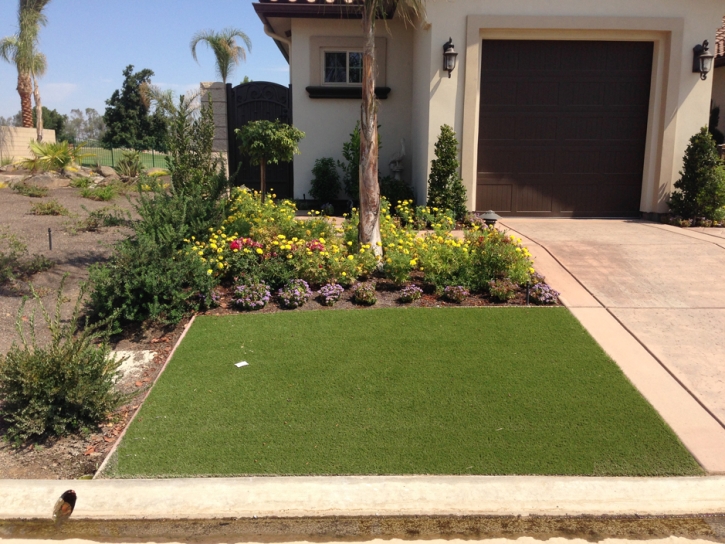 Fake Grass Carpet Tradewinds, Texas Rooftop, Front Yard Landscaping Ideas