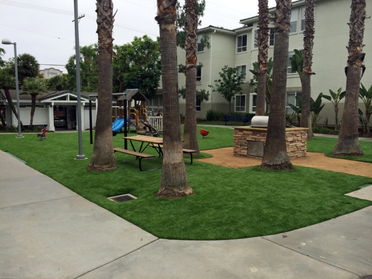 Fake Grass Carpet Uhland, Texas Landscaping, Commercial Landscape