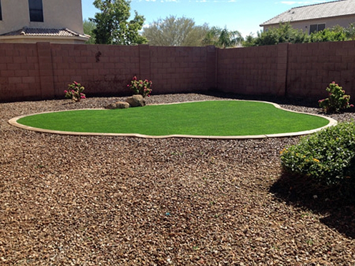 Fake Grass Carpet Windemere, Texas Lawn And Landscape, Backyard Landscaping Ideas