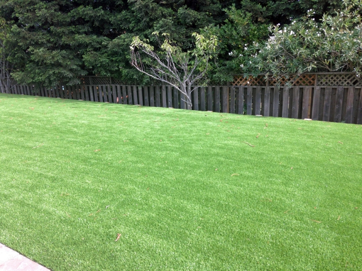 Fake Grass Cumings, Texas City Landscape, Backyard Design