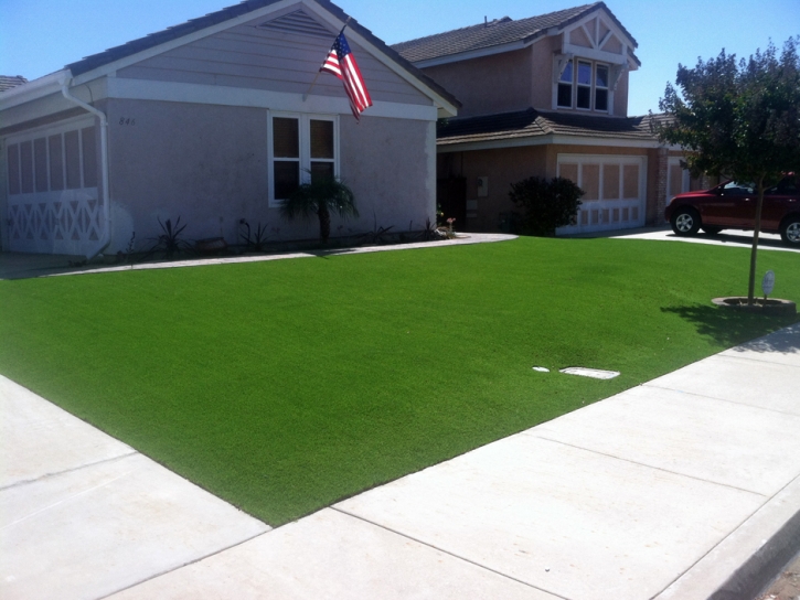 Fake Grass Elgin, Texas Gardeners, Landscaping Ideas For Front Yard