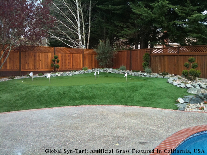 Fake Grass Hollywood Park, Texas Rooftop, Backyard Garden Ideas