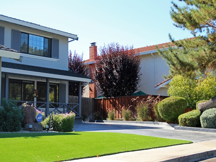 Fake Grass Mustang Ridge, Texas Backyard Playground, Front Yard Landscape Ideas