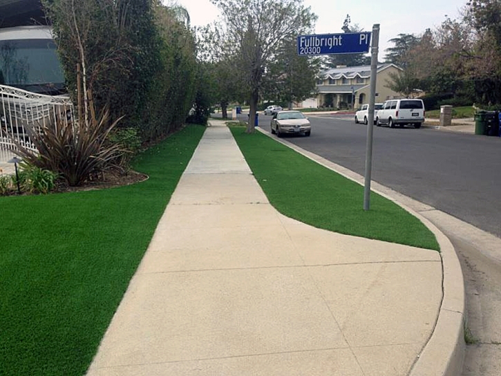 Fake Grass Timberwood Park, Texas Backyard Playground, Front Yard Landscape Ideas