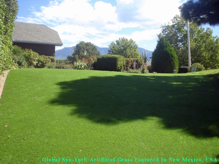 Fake Lawn Kirby, Texas Lawns, Backyard