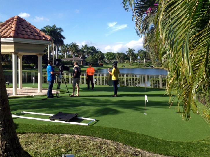 Fake Lawn La Coste, Texas Best Indoor Putting Green, Backyard Design