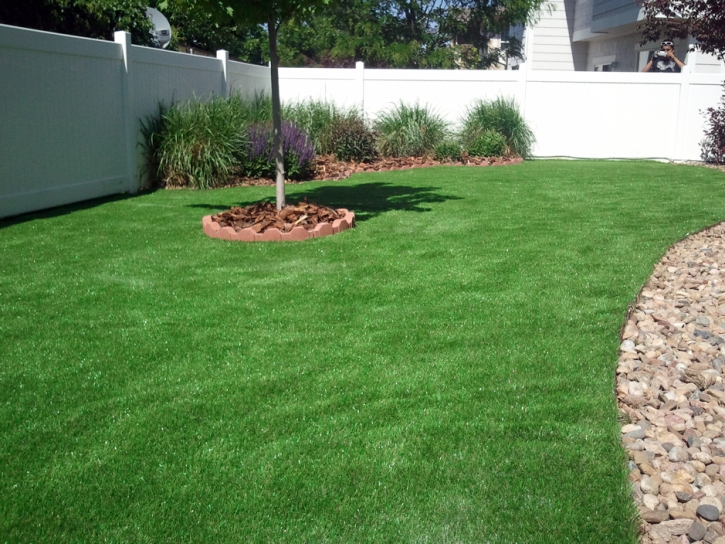 Fake Lawn La Vernia, Texas City Landscape, Backyard Design