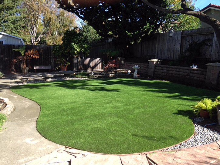 Fake Lawn Lexington, Texas Roof Top, Backyard Garden Ideas