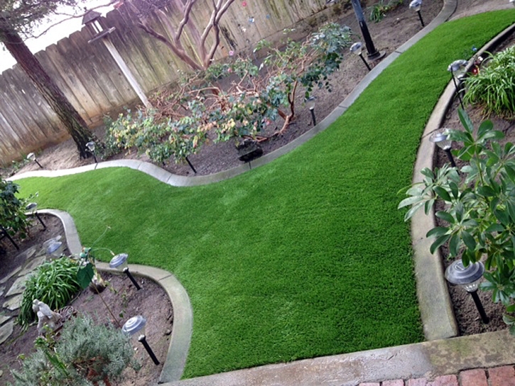 Fake Lawn Placedo, Texas Landscaping, Backyard Ideas