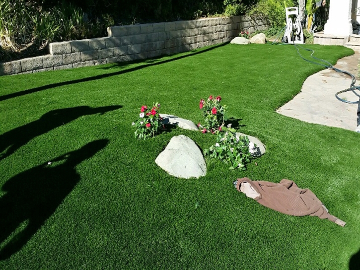 Fake Lawn San Felipe, Texas Paver Patio, Landscaping Ideas For Front Yard