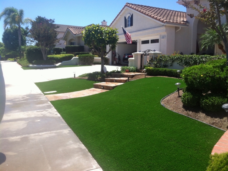 Fake Turf Burnet, Texas Gardeners, Front Yard Ideas