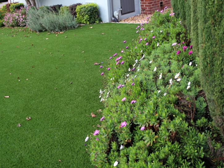 Fake Turf Kingsland, Texas Home And Garden, Front Yard Landscape Ideas