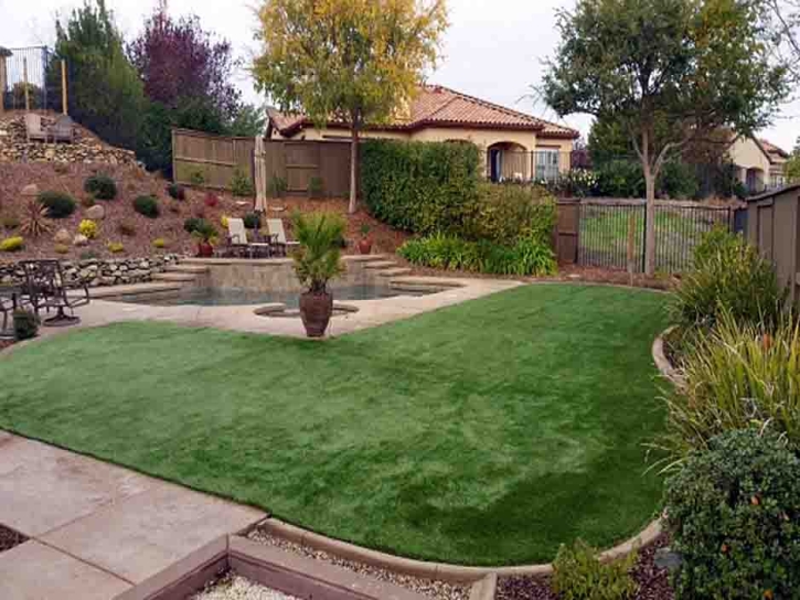 Fake Turf Las Colonias, Texas Landscaping Business, Backyard Garden Ideas