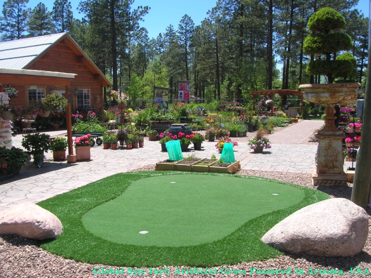 Fake Turf Olmos Park, Texas Landscape Photos, Backyard