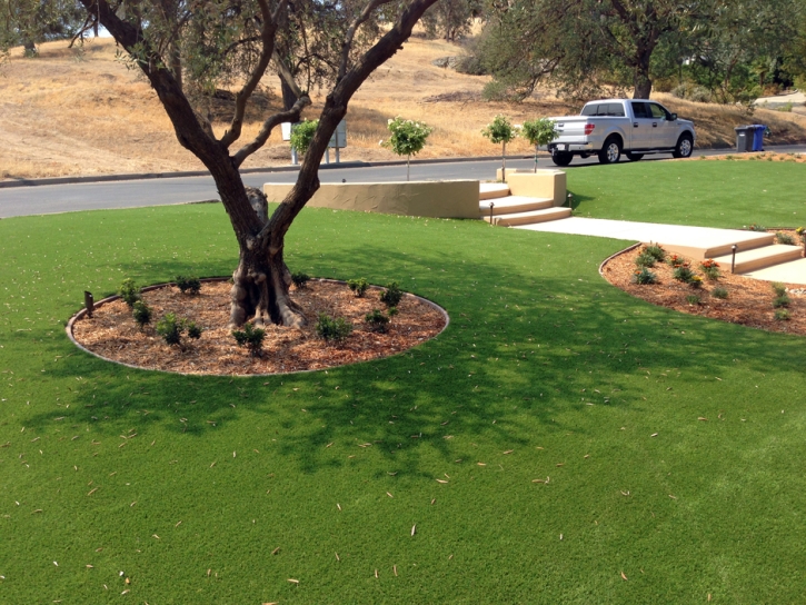 Fake Turf Seadrift, Texas Rooftop, Front Yard Landscape Ideas