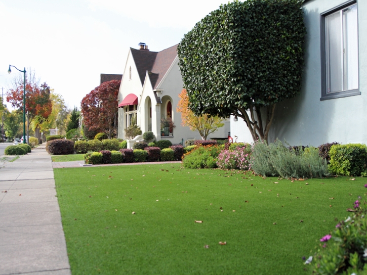 Fake Turf Sunrise Beach Village, Texas Paver Patio, Front Yard Landscape Ideas