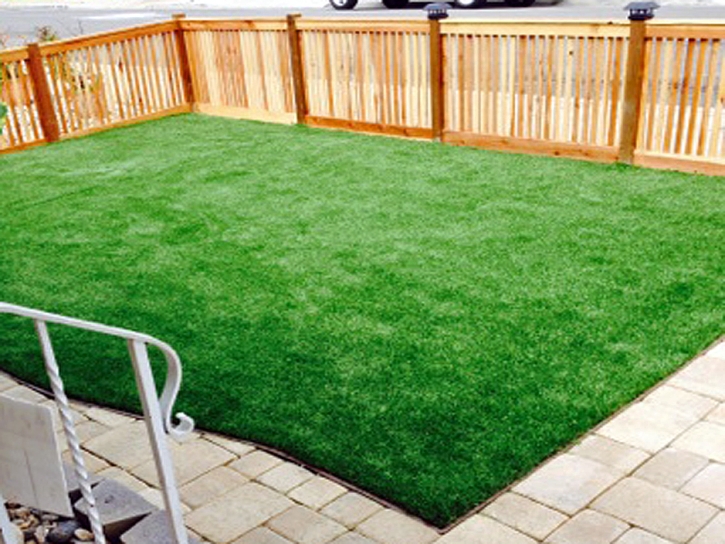 Fake Turf Tierra Grande, Texas Landscape Photos, Backyard Landscaping